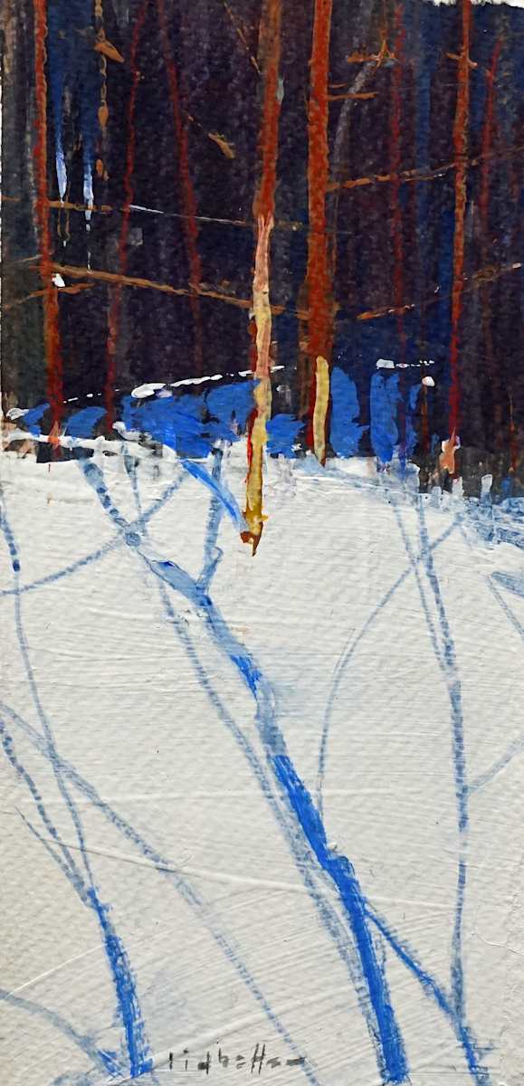 Sunlight and Snow by David Lidbetter Fine Art 