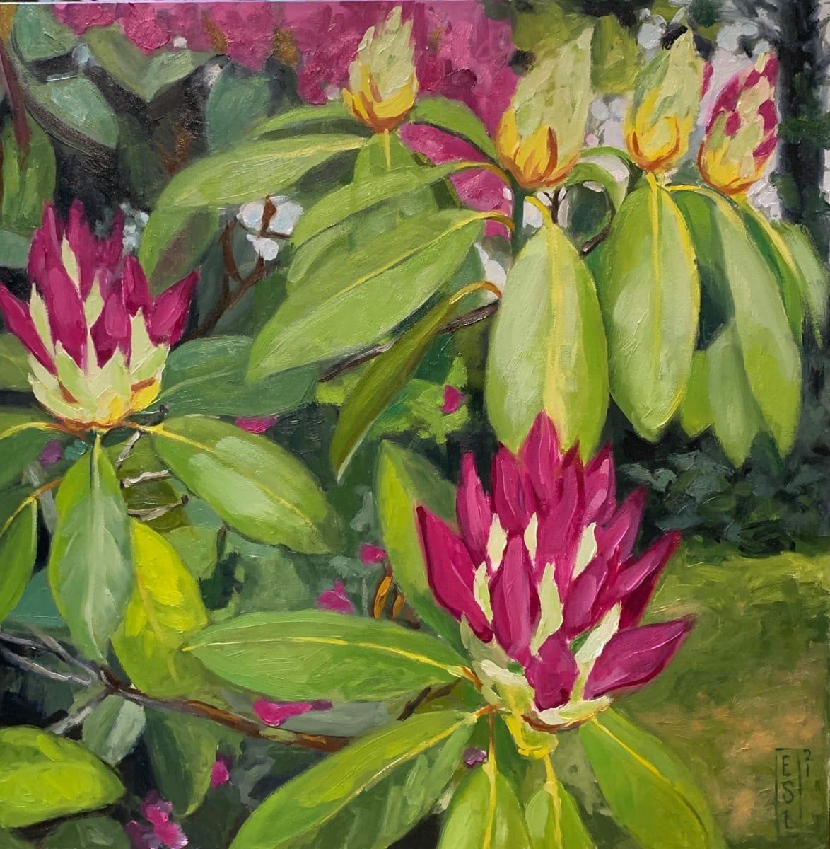 Hocking Hills Rododendron by Ellen Starr Lyon, Image 1.