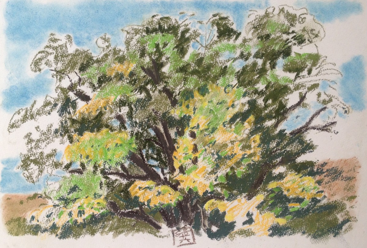 Samsara by Hans Wilreker, Image 1.