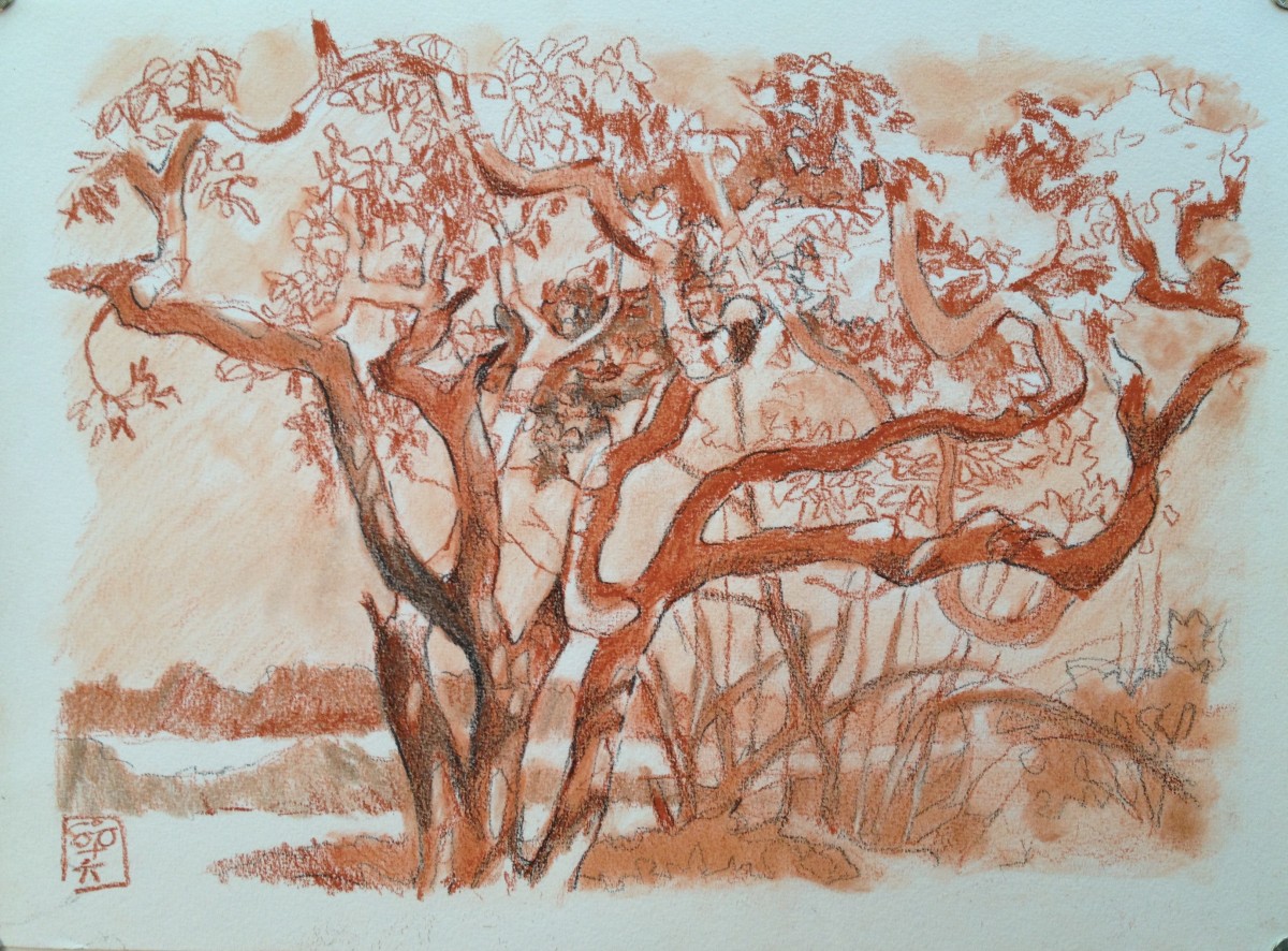 Samsara by Hans Wilreker, Image 1.