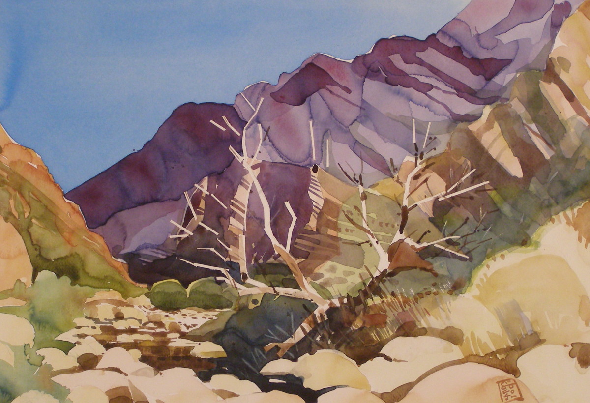 Swartberg Pass by Hans Wilreker 