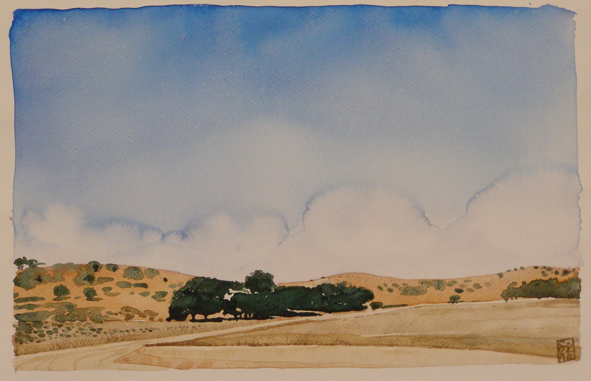 Kalahari Gemsbok Park - Houmoed by Hans Wilreker, Image 1.