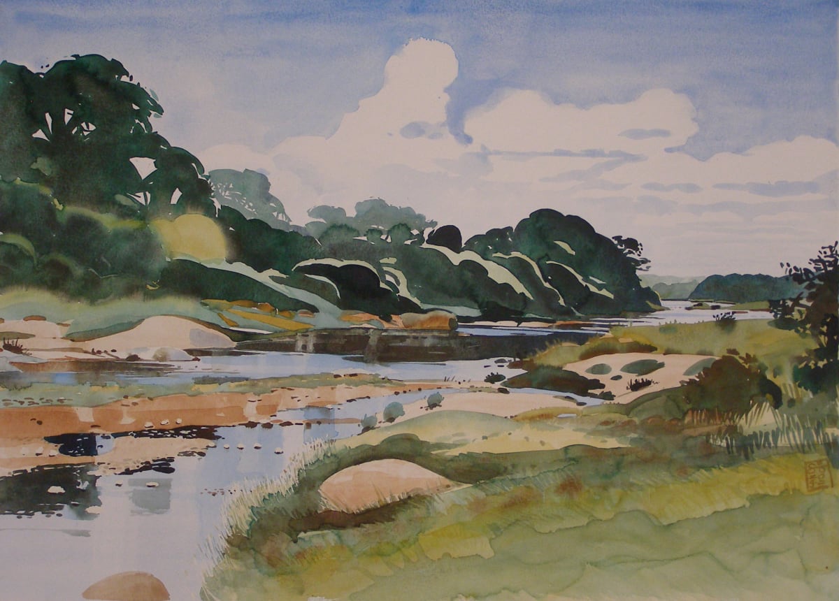 Riv_1999_04_Biyamati_river_2-aqua-720x520_3740_zp8ua6_13 by Hans Wilreker, Image 1.