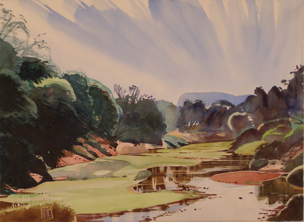 Riv_1999_05_Biyamati_river_1-aqua-720x520_374_m5o2hd_12 by Hans Wilreker, Image 1.