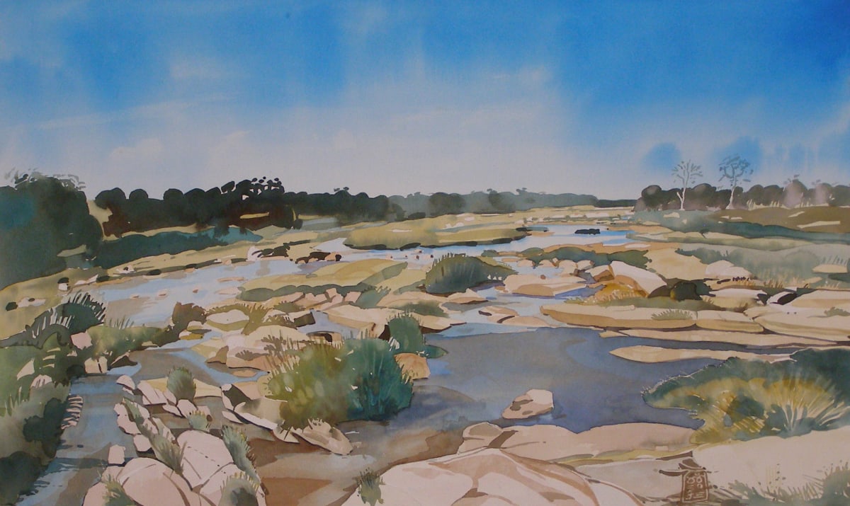 Riv_2003_01_-Sabie_river-aqua-460x340_1564_aiwhlz_0 by Hans Wilreker, Image 1.