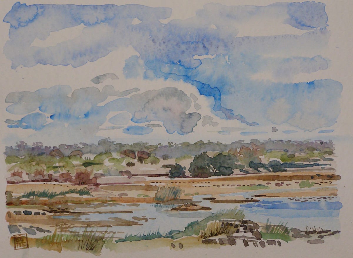 S12_ohhiaa_8 by Hans Wilreker, Image 1.