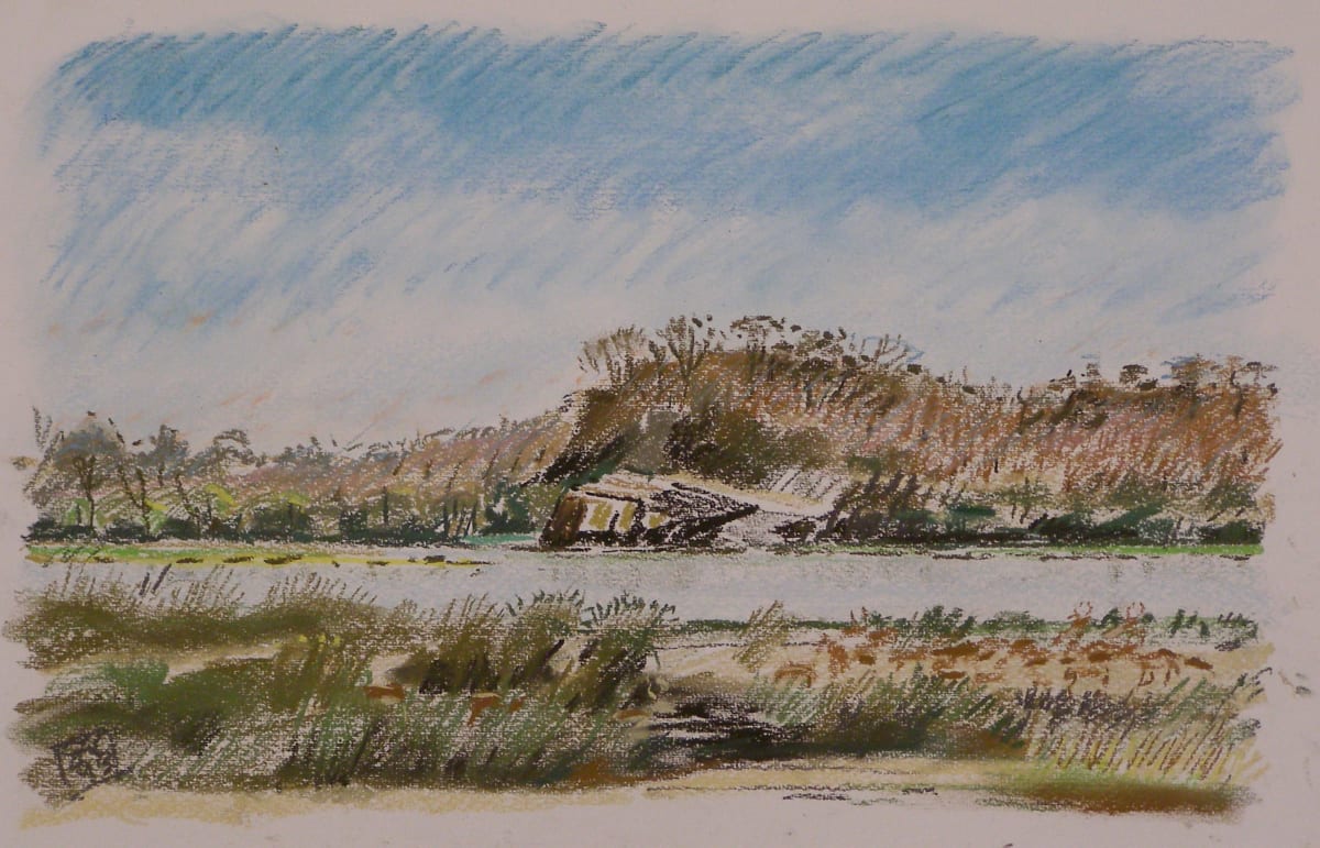 S15_jdqlcx_5 by Hans Wilreker, Image 1.