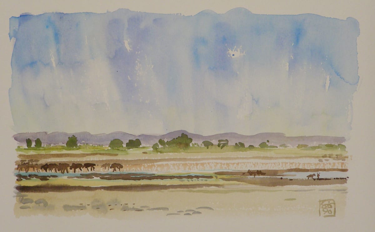 S16_g4lwve_4 by Hans Wilreker, Image 1.