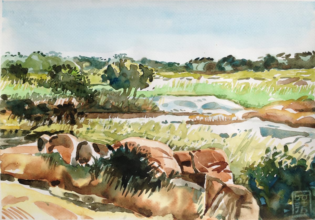 april_20th_2015_001_afub5n_19 by Hans Wilreker, Image 1.