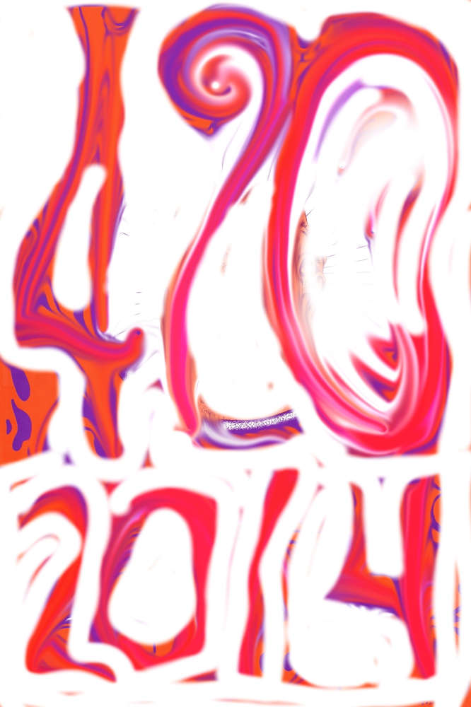 42014 by Lee Conklin, Image 1.