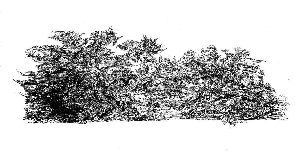 Boppel Trees by Lee Conklin, Image 1.