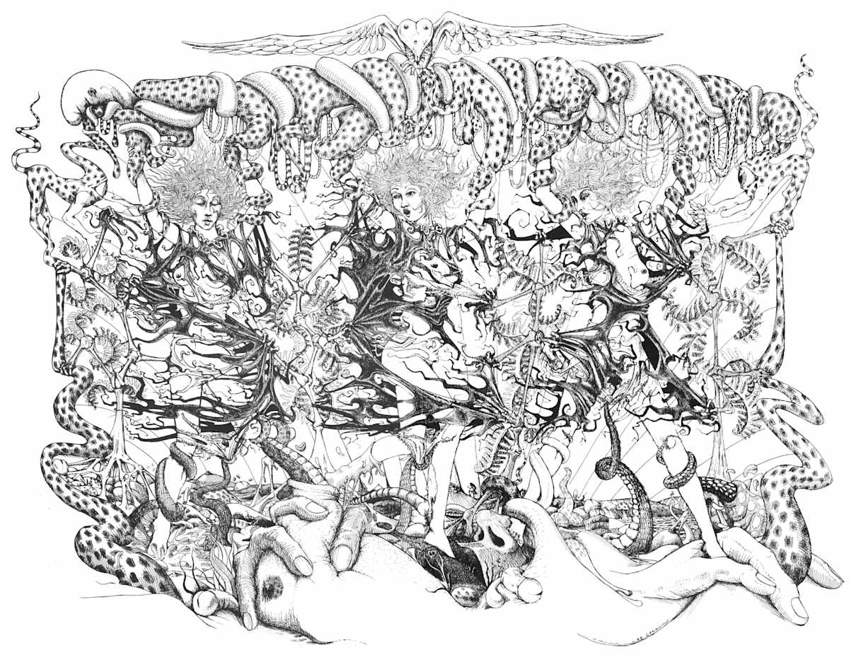 Cf by Lee Conklin, Image 1.