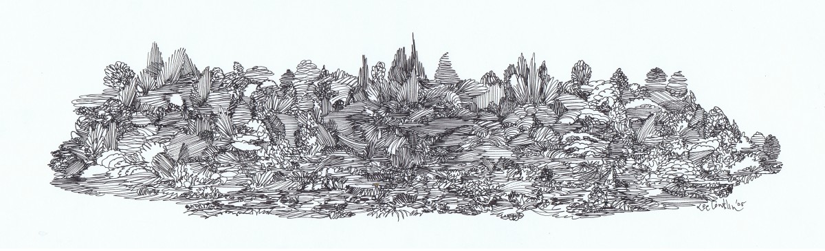 Straightlines by Lee Conklin, Image 1.