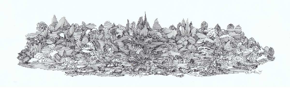 Straightlines by Lee Conklin, Image 1.