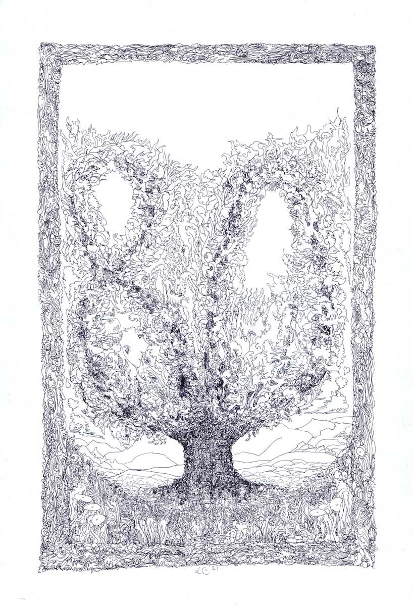 80, Image 1.