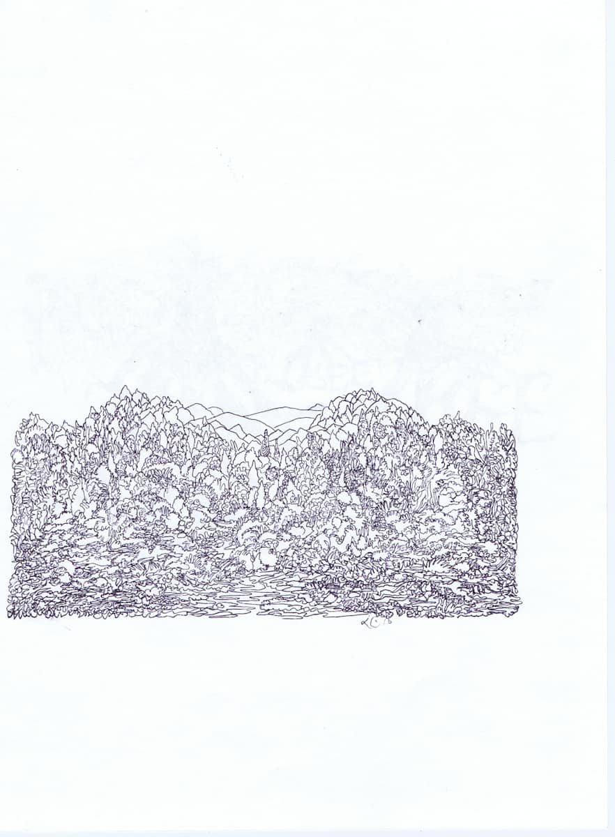 Back of Three, Image 1.