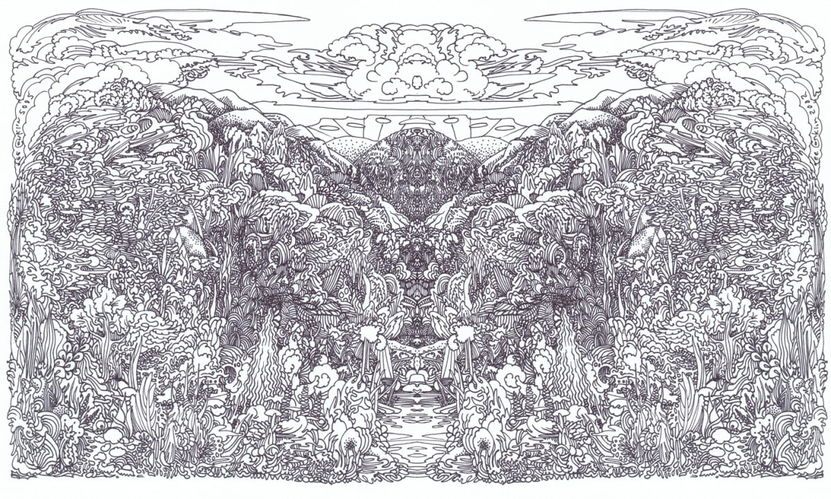 binversnaidr by Lee Conklin, Image 1.