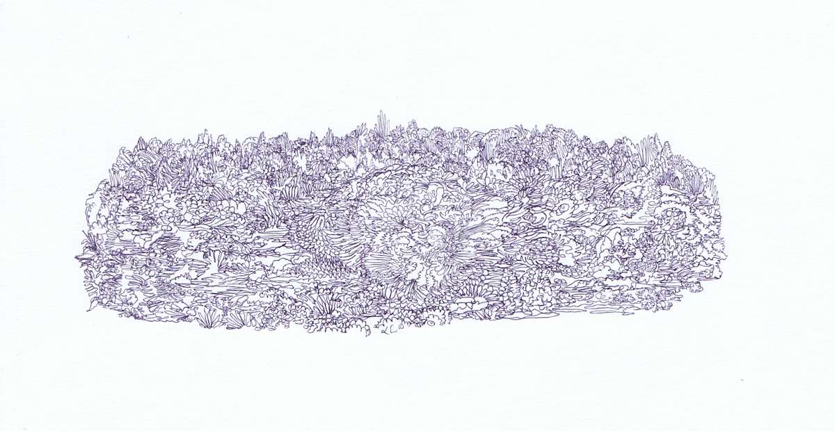 Deliface, Image 1.