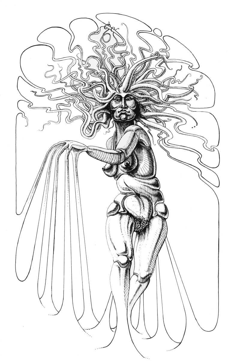 freedomfighter by Lee Conklin, Image 1.