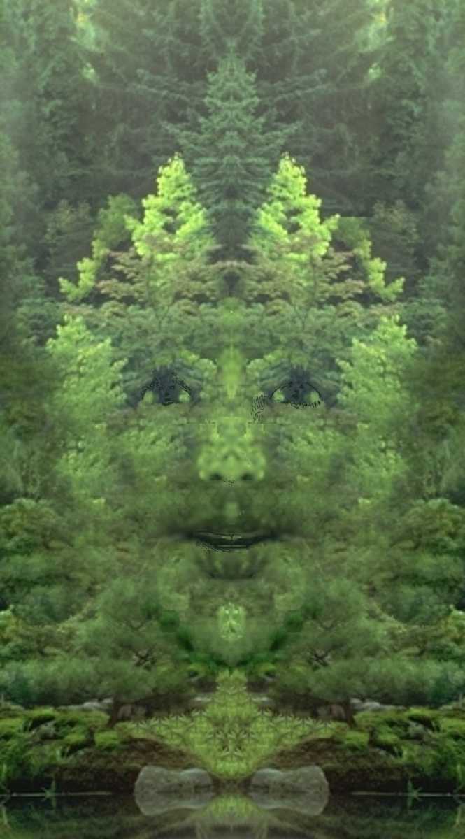 gman by Lee Conklin, Image 1.