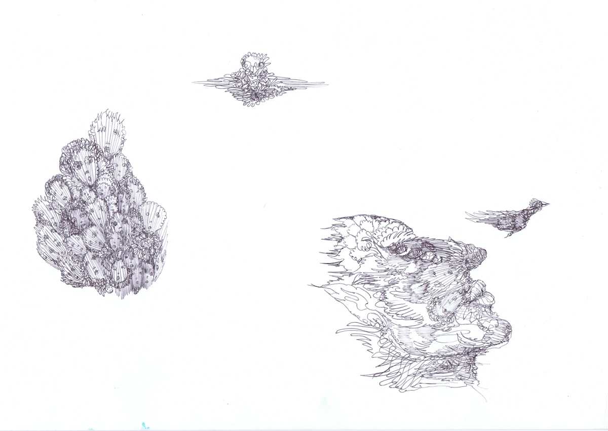 nosecape by Lee Conklin, Image 1.