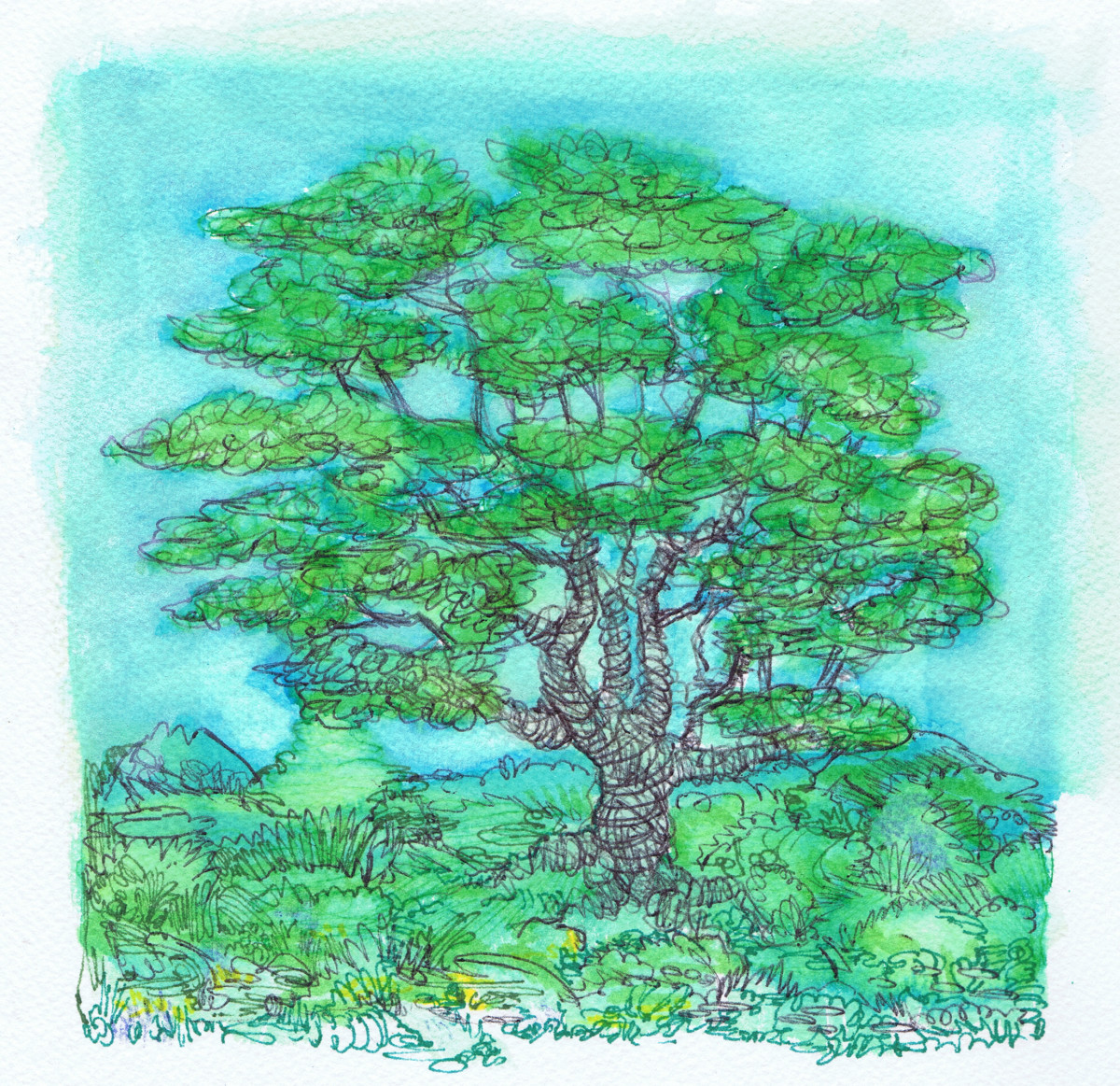 Oak by Lee Conklin, Image 1.