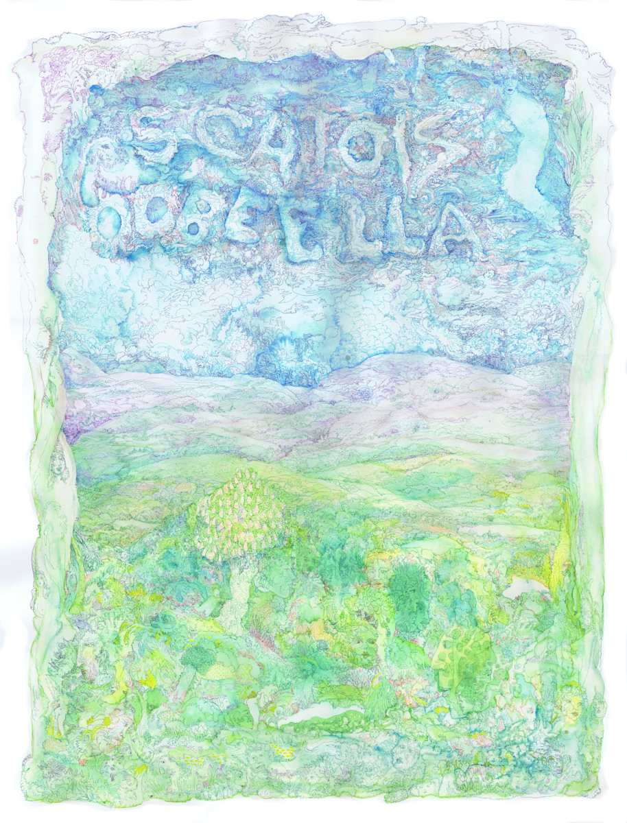 Scatoisoo by Lee Conklin, Image 1.