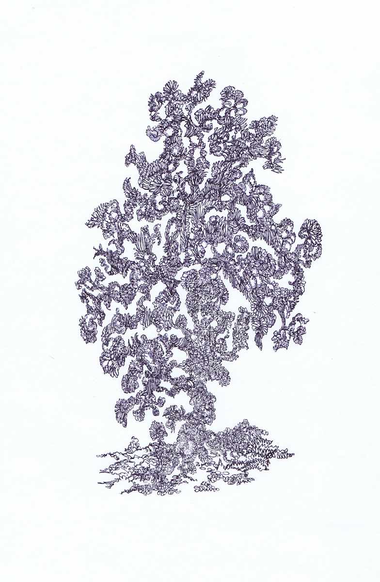 Scriblent, Image 1.