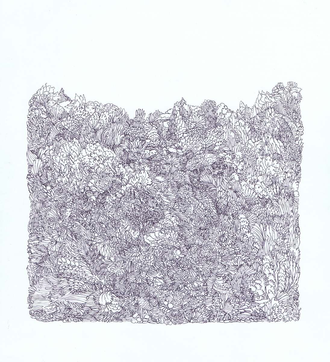 Scribrush, Image 1.