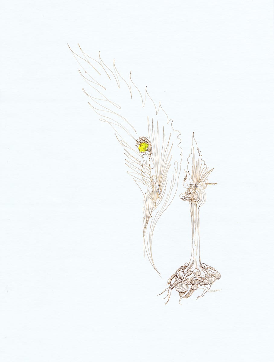 Sepiaweeds, Image 1.