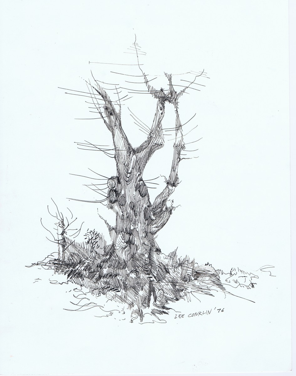 Snag by Lee Conklin, Image 1.