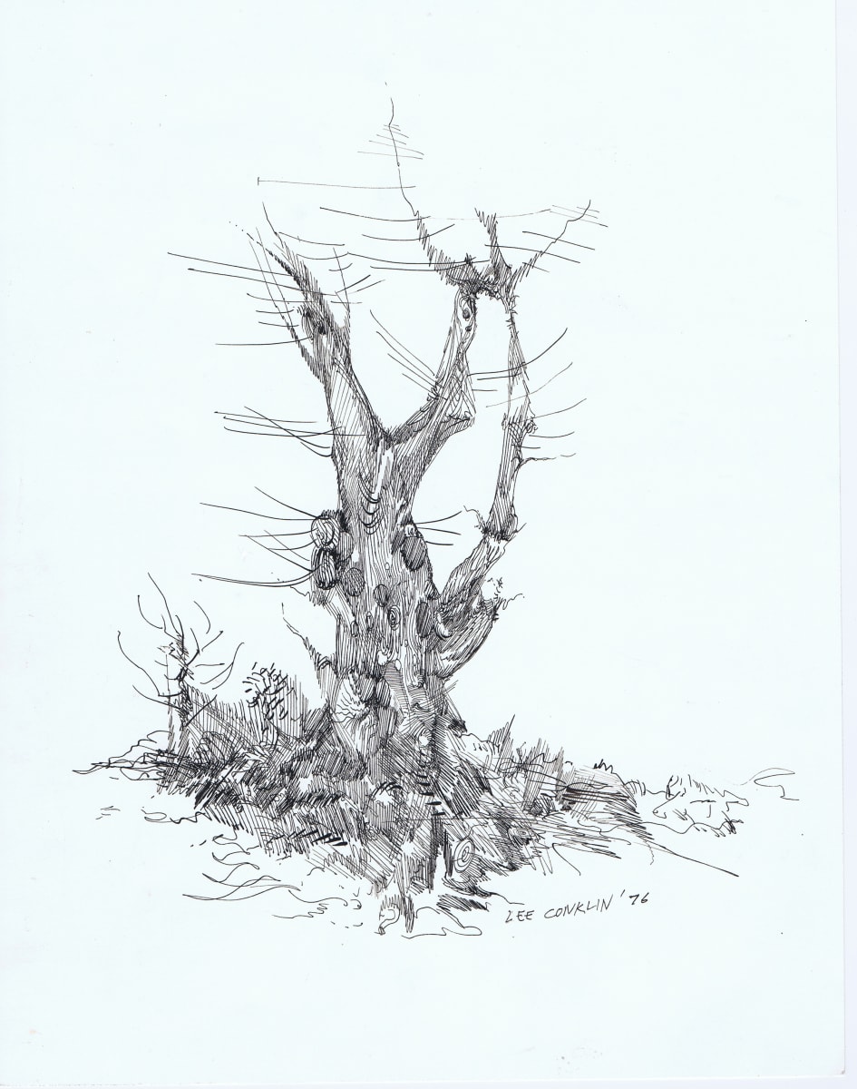 Snag by Lee Conklin, Image 1.