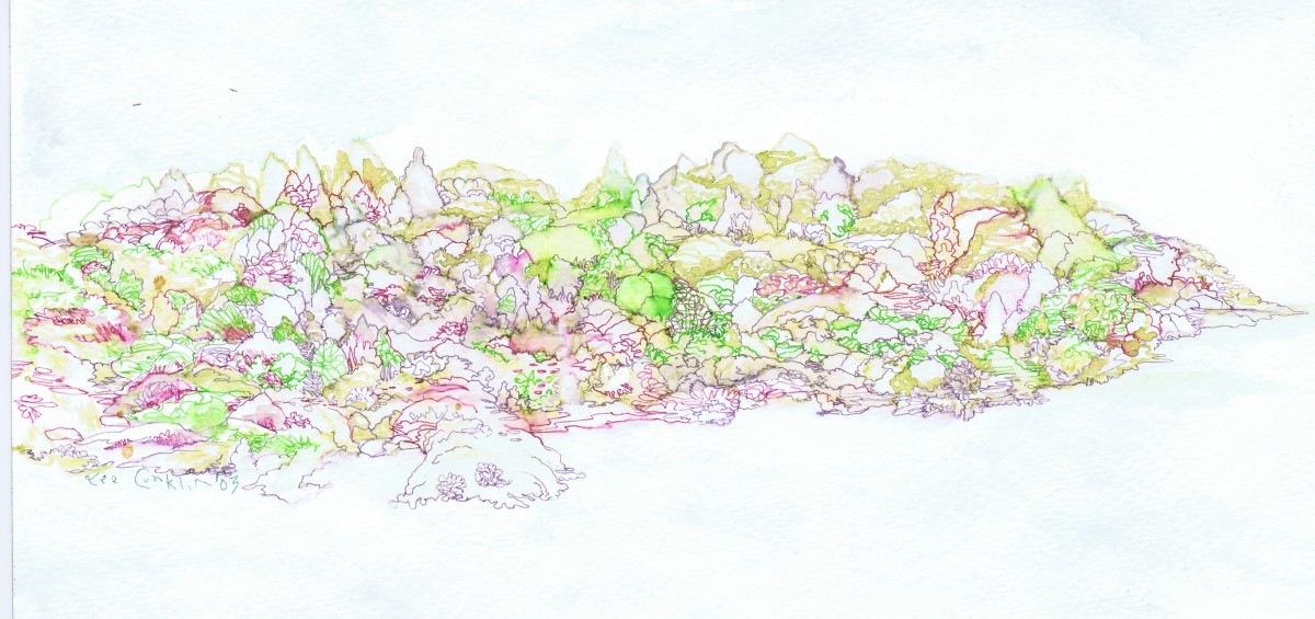 The Point by Lee Conklin, Image 1.