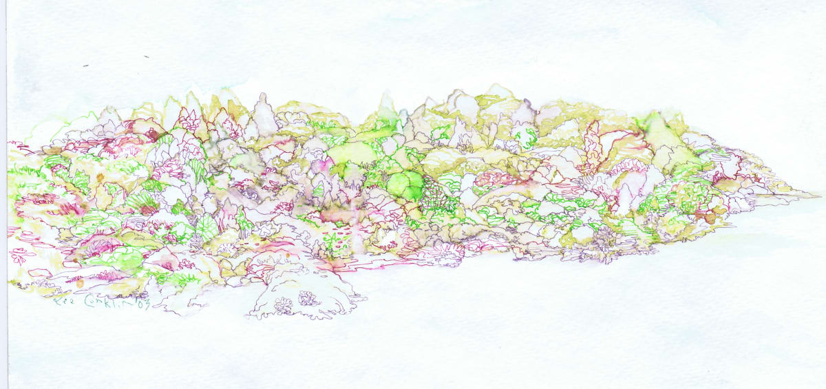 The Point by Lee Conklin, Image 1.