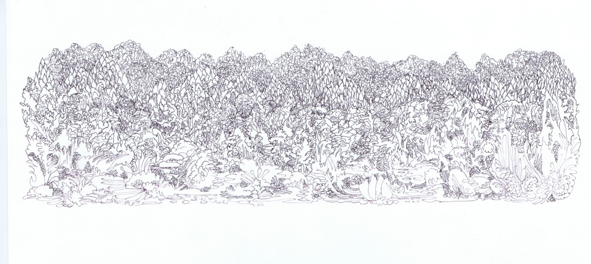 Thickhills by Lee Conklin, Image 1.
