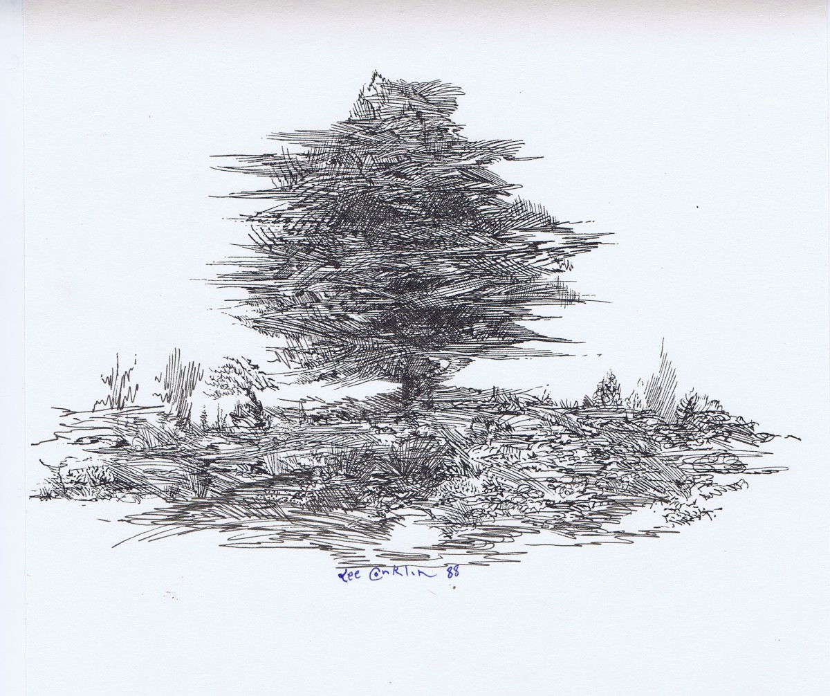 Treed by Lee Conklin, Image 1.