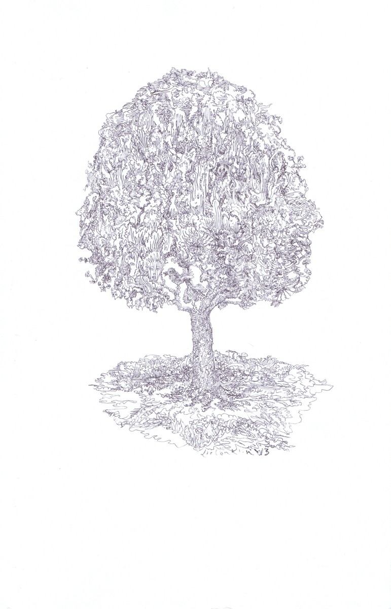 Treeprofile by Lee Conklin, Image 1.