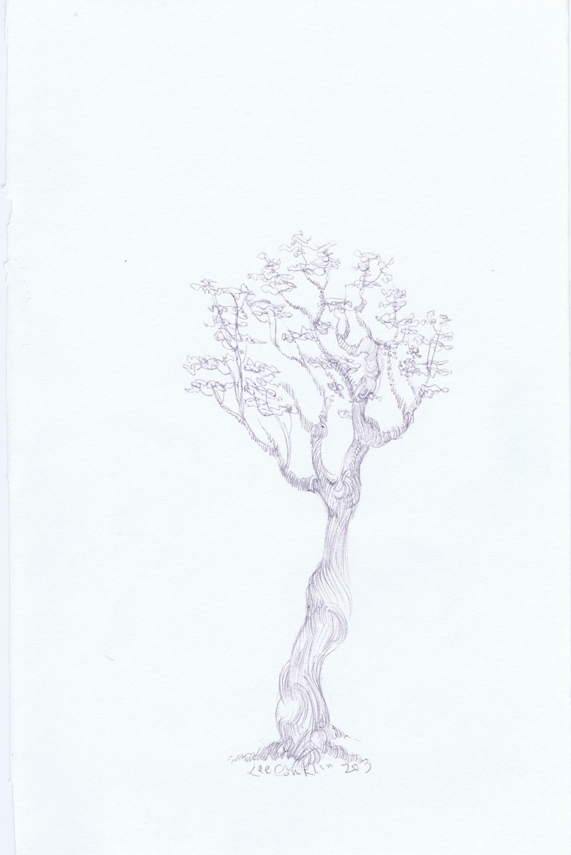 Youtree by Lee Conklin, Image 1.