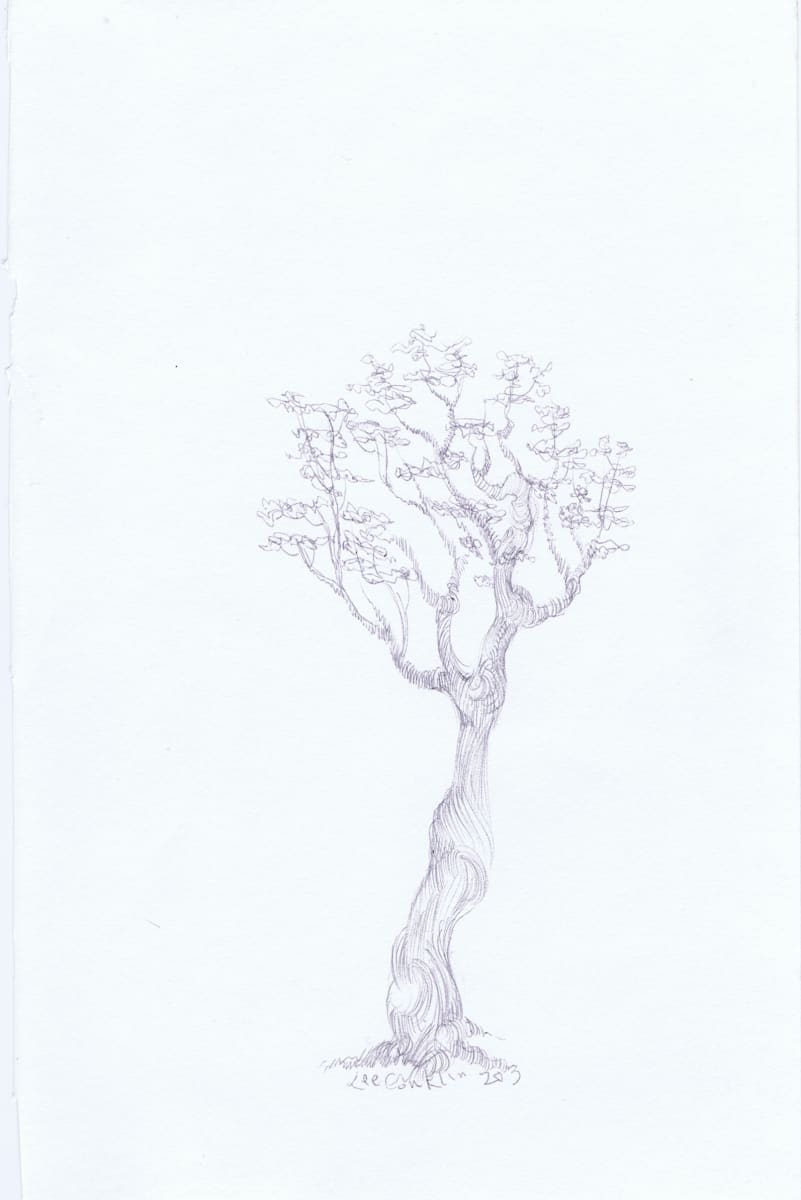 Youtree by Lee Conklin, Image 1.
