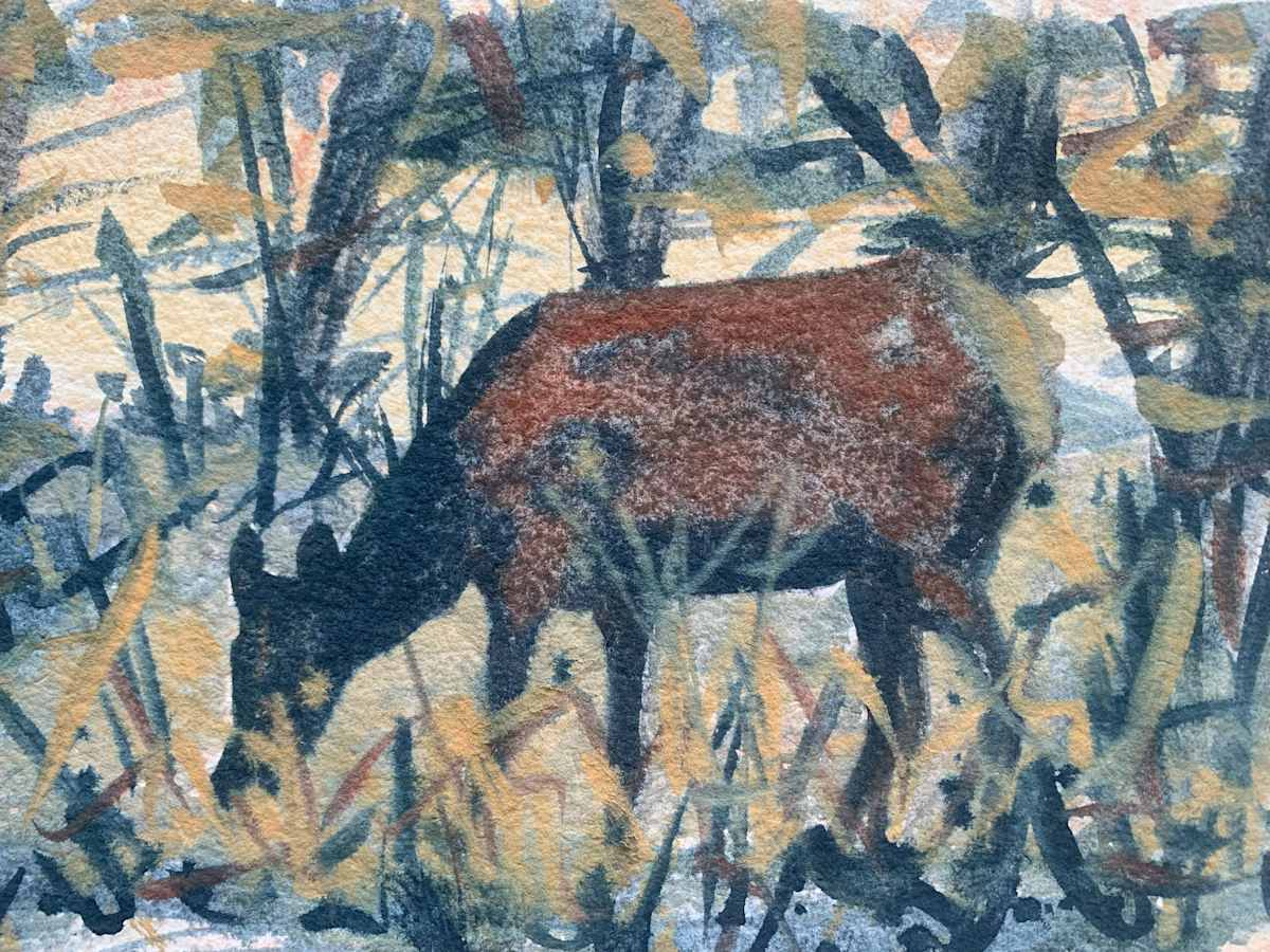 In First Light by Amanda Kaye Bielby, Image 3.