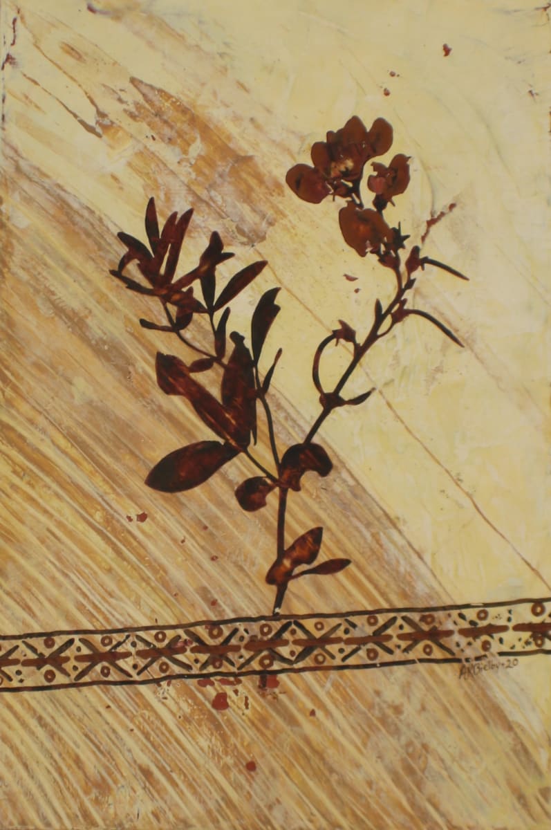 Contrasting the Montana SweatPea by Amanda Kaye Bielby 