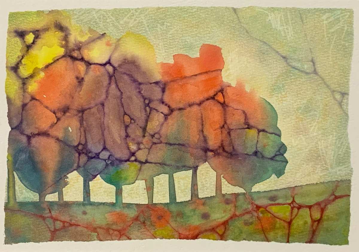 Child Gaze by Amanda Kaye Bielby, Image 1.