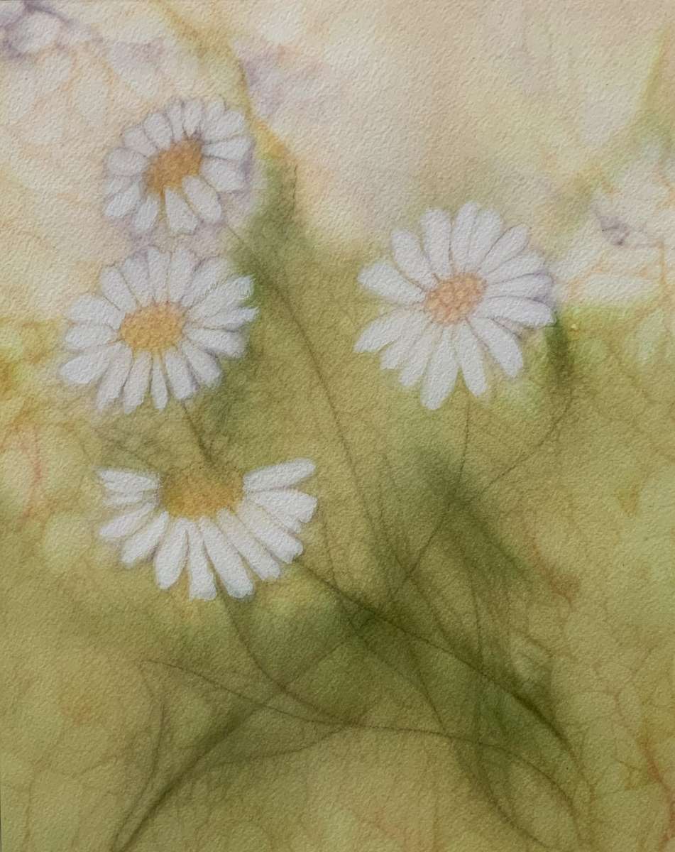 Summer Dreams by Amanda Kaye Bielby 