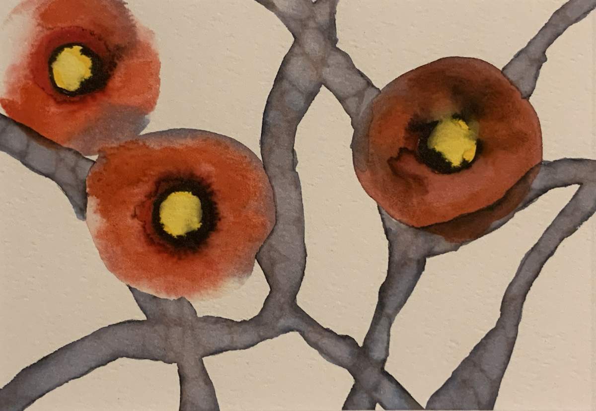 Fully Red. by Amanda Kaye Bielby, Image 1.