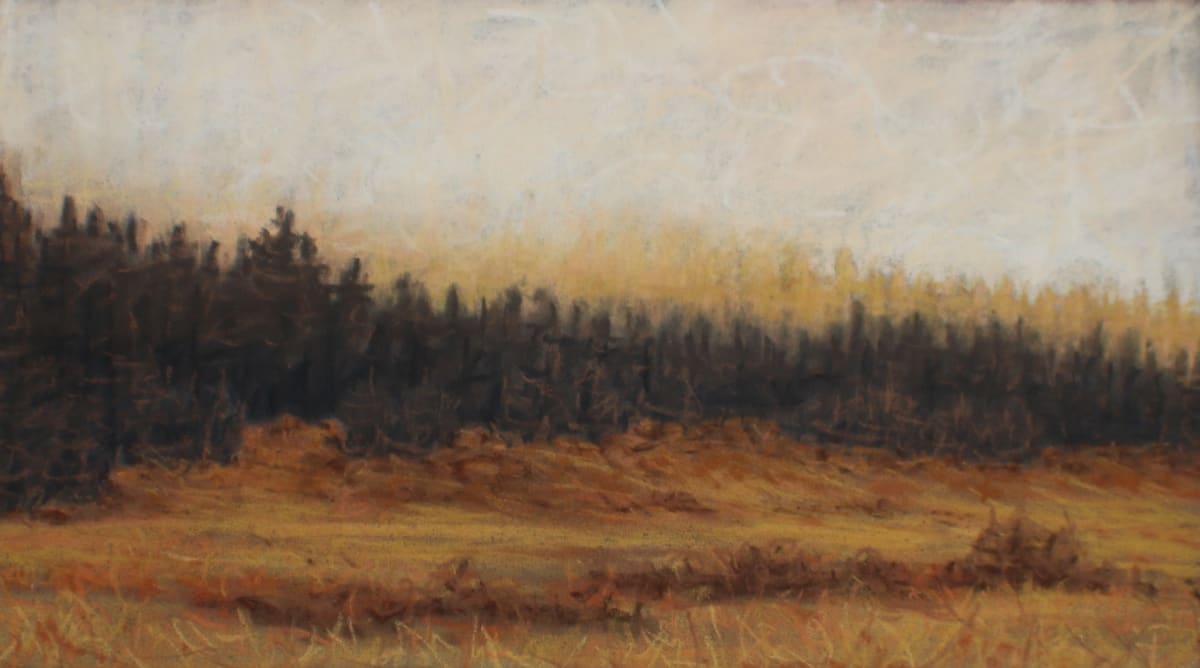 Sun-Lit by Amanda Kaye Bielby, Image 1.