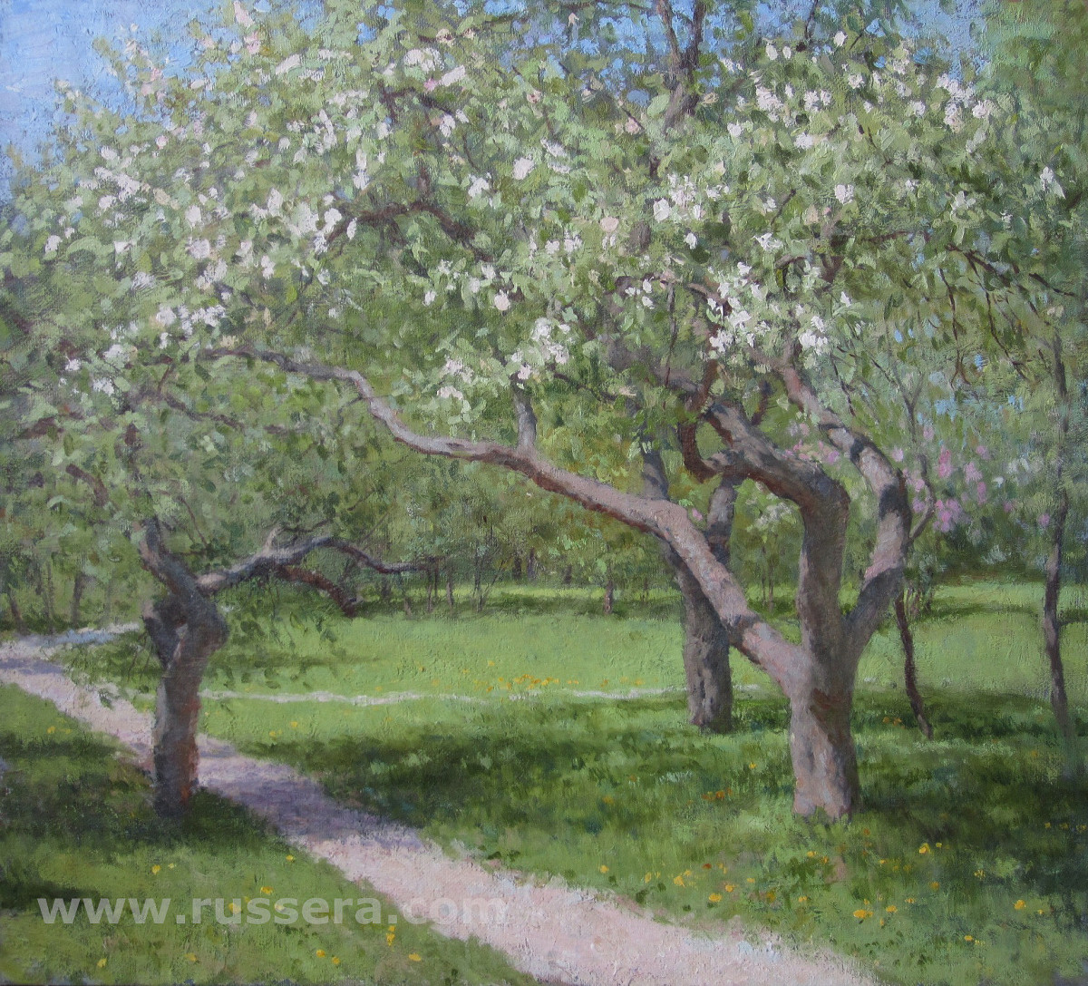 Apple Trees in Bloom by Vasily Hudyakov 