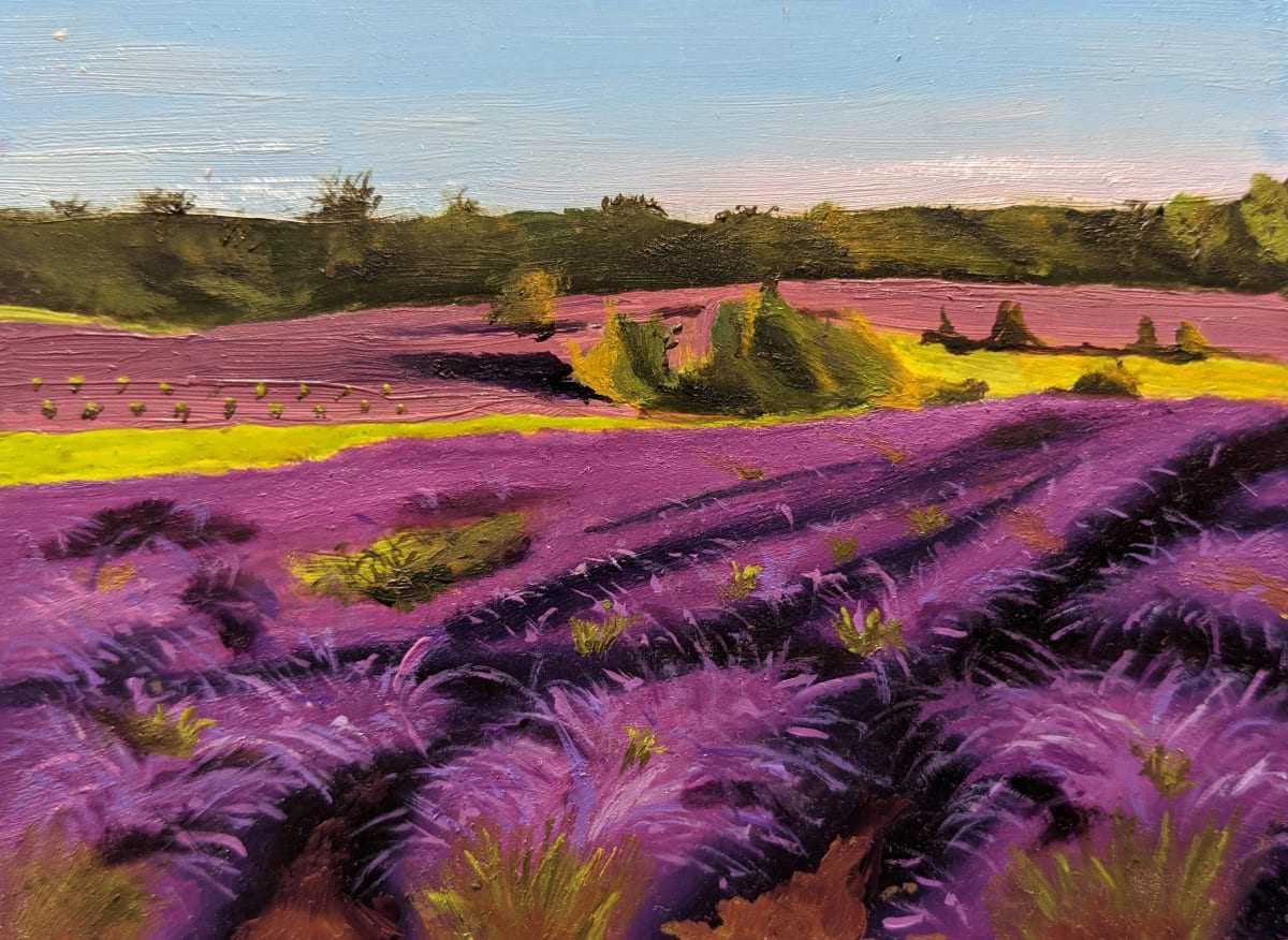 Golden Hour Provence by Margo Lehman 
