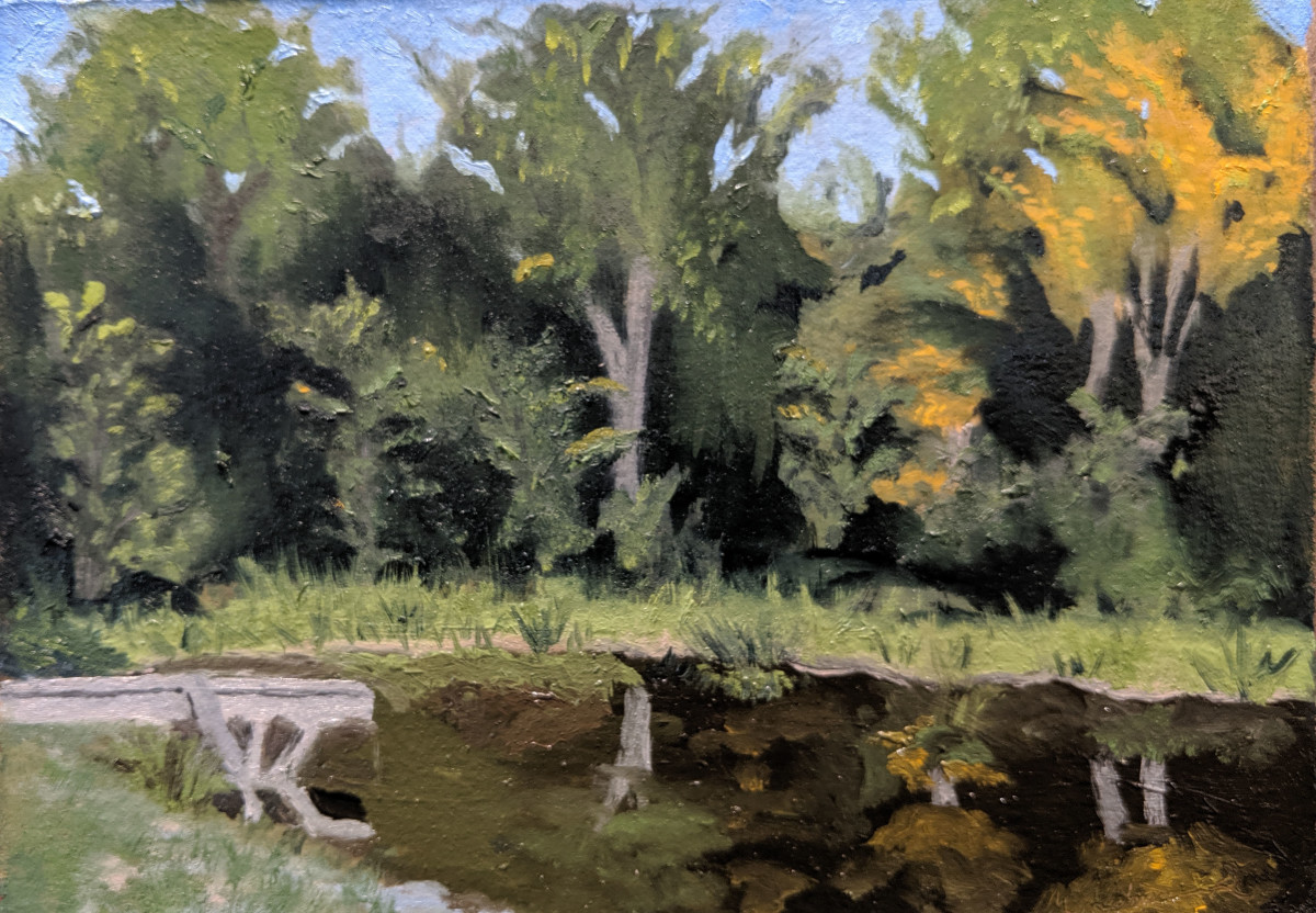 Catoctin Lagoon, Late Summer by Margo Lehman 