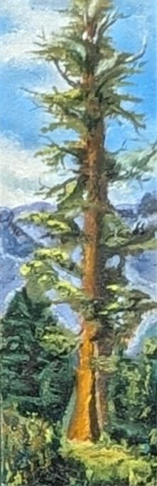 Petite Hyperion by Margo Lehman, Image 3.