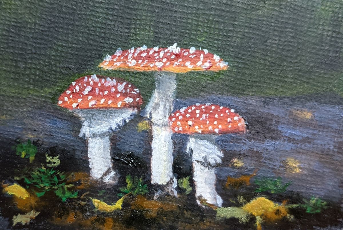 La Famiglia Muscaria 